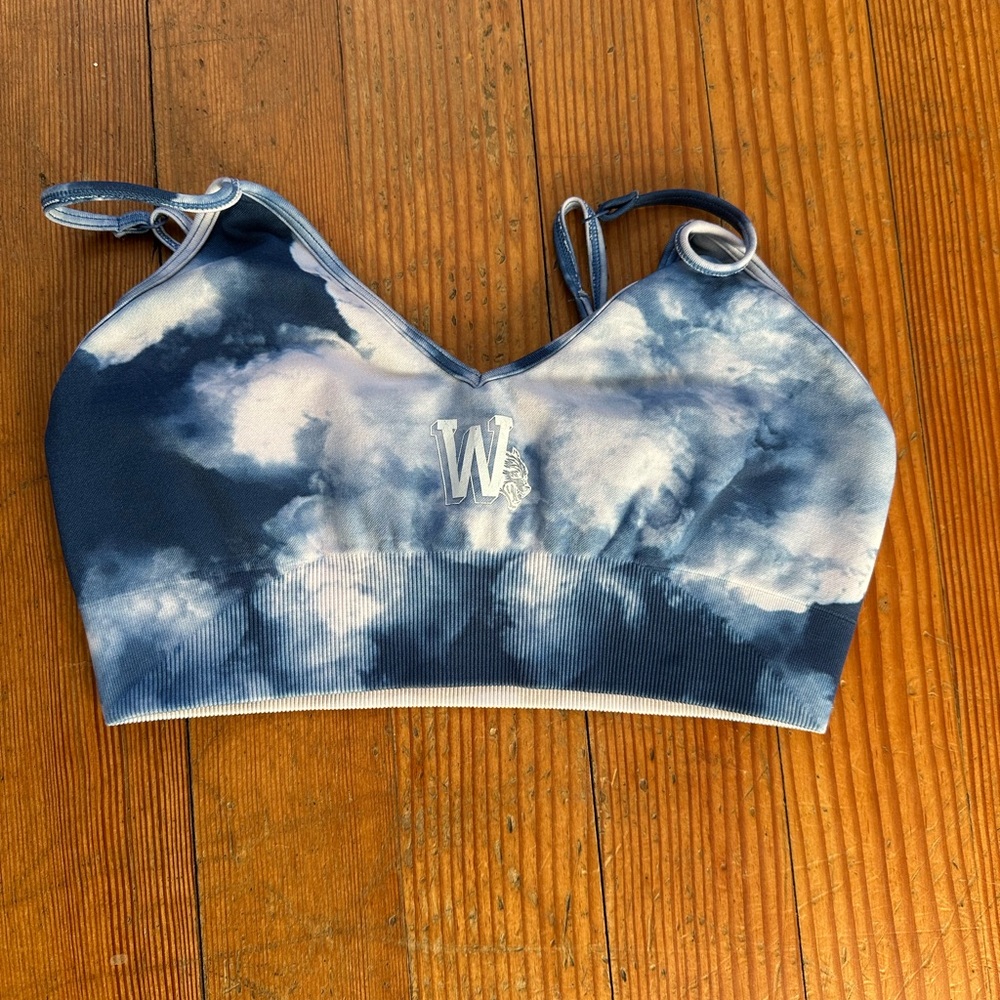 Darc Sport Cloudy Blue Sports Bra